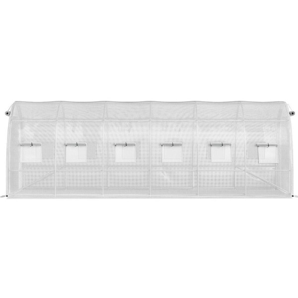 Spacious 20x10x7 ft Walk-In Tunnel Greenhouse with Reinforced Galvanized Frame