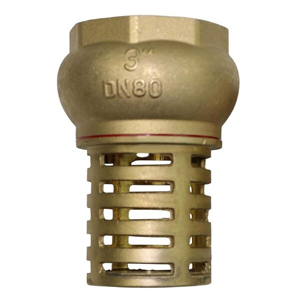 3" Brass Foot Valve and Strainer Only Water Pump Hose Suction