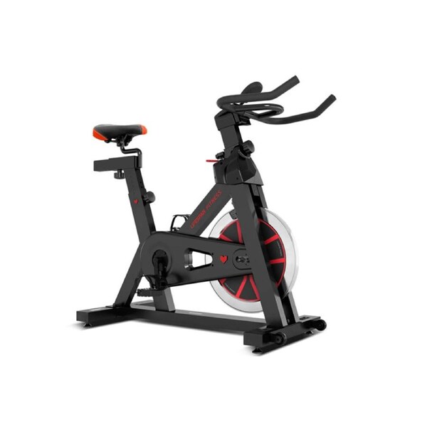 Lifespan SP-310 (M2) Spin Bike