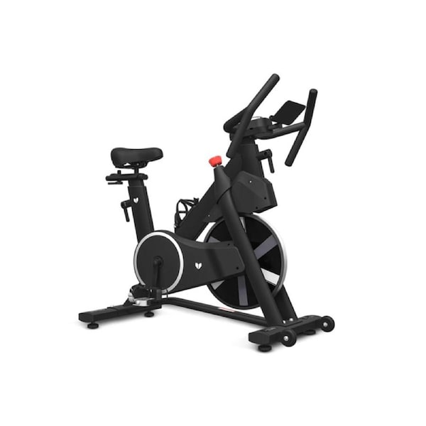 Lifespan Fitness SM-420 Spin Bike with Magnetic Resistance