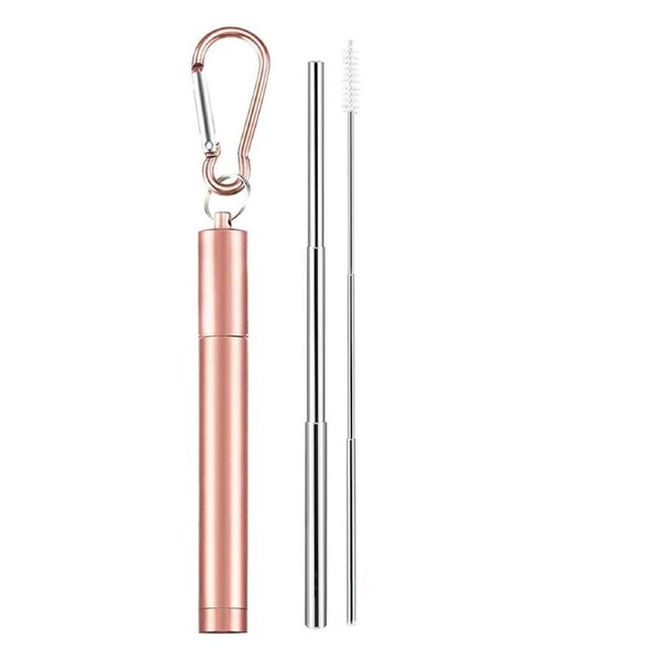 Stainless Steel Metal Straw Reusable Drinking Collapsible Brush Foldable Keyring Rose Gold
