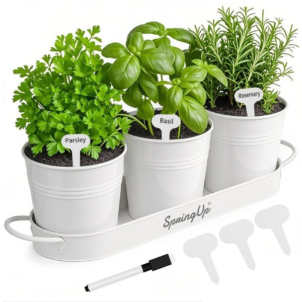 SpringUp 3PCS Herb Garden Planter Set with Tray Indoor Outdoor Windowsill Pots White
