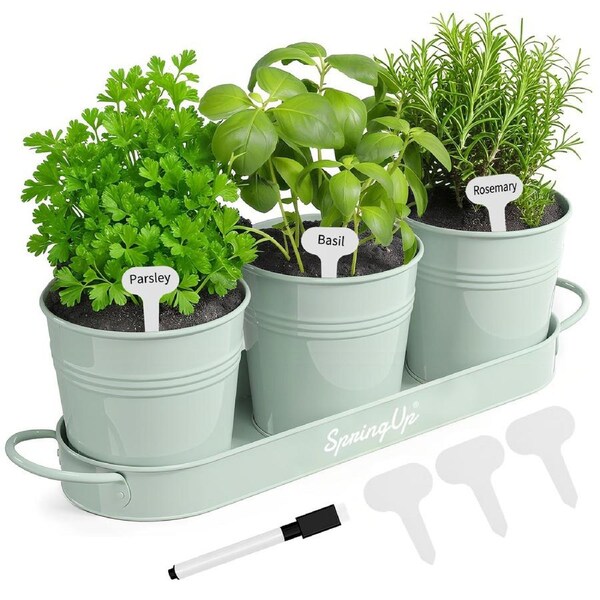 SpringUp 3PCS Herb Garden Planter Set with Tray Indoor Outdoor Windowsill Pots Mint Green