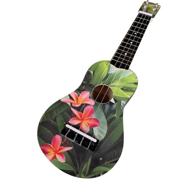 Holysmoke Paradise Ukulele 21" 12 frets 4 Strings Beginner Kids Student