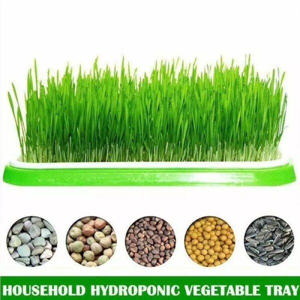 Germination Bean Sprout Planting Microgreens tray, Seeding Cloning Hydroponic