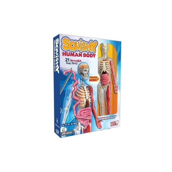 Squishy Human Body - Smart Lab Toys: A Hands-On Anatomy Model Kit