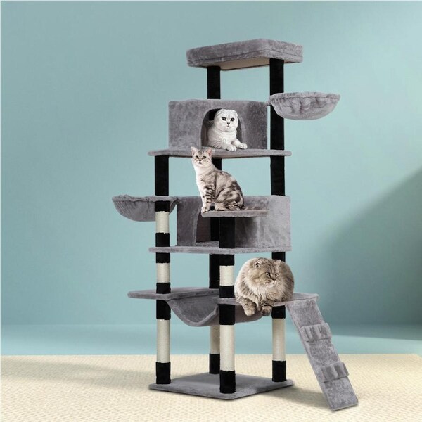 161cm-244cm Cat Tree i.Pet Scratching Post Scratcher Tower Wood Condo House 171cm Dora