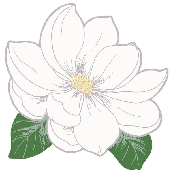 White Magnolia Flower Placemats 8pk