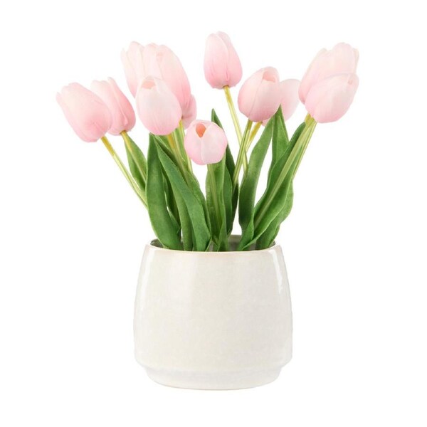 Rogue Tulip Bunch Gianna Pot - Pink
