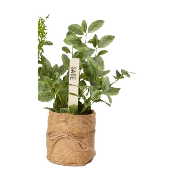Elme Herbs Sage 25x20x22cm