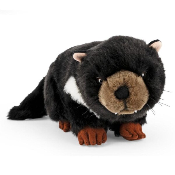 Living Nature - Tasmanian Devil