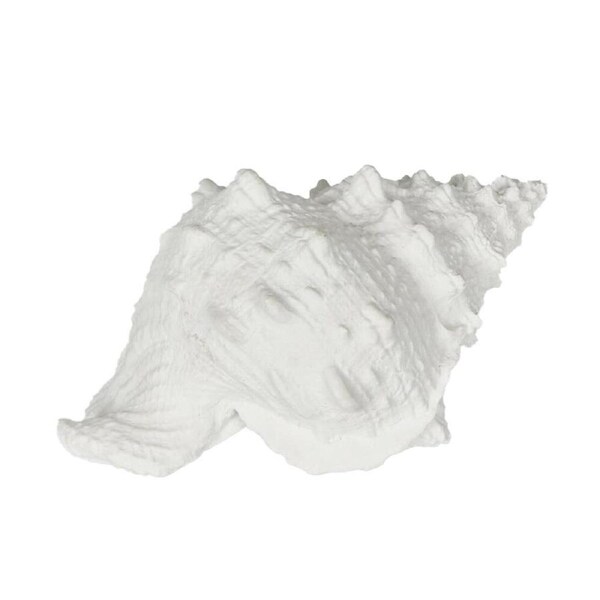 Belle Polyresin Sammy Sea Snail Sculpture/Ornament Home Decor 21x14cm White