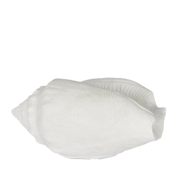Belle Polyresin Shore Sea Snail Sculpture/Ornament Home Decor 20x11cm White