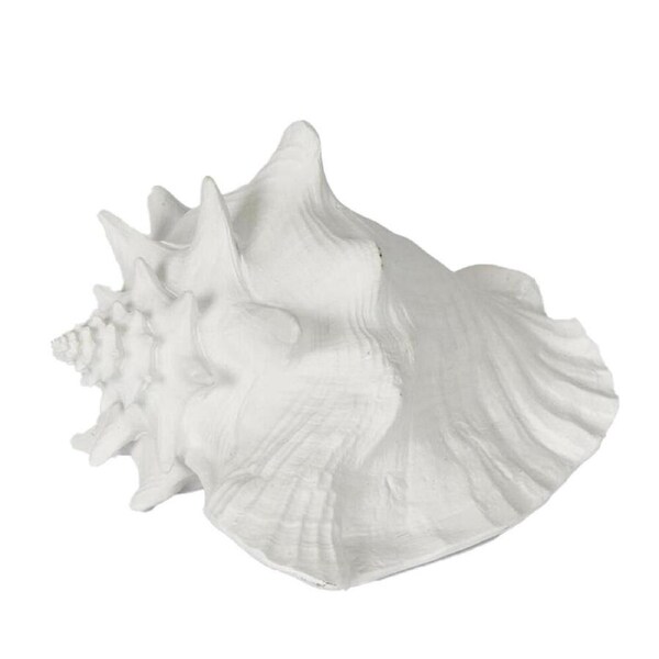 Belle Polyresin Sandy Sea Snail Sculpture/Ornament Home Decor 21x19cm White
