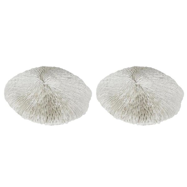 2PK Belle Polyresin Sofi Sea Urchin Sculpture/Ornament Home Decor 19x17cm White