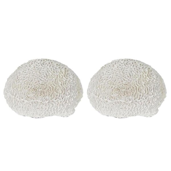 2PK Belle Polyresin Cove White Sea Urchin Sculpture/Ornament Decor 17x18cm White