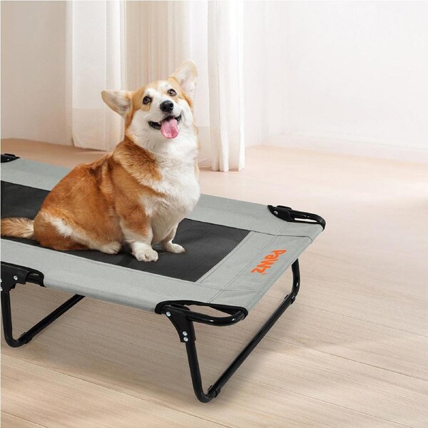 Pawz Pet Dog Elevated Bed Raised Trampoline Foldable Large Hammock No Assembly M