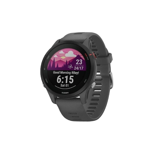 Garmin Forerunner 255 Smart Sports Watch (Slate Grey, 46mm)
