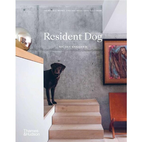 Sjg Books Resident Dog Photograph Book Designer Furniture - Nicole England