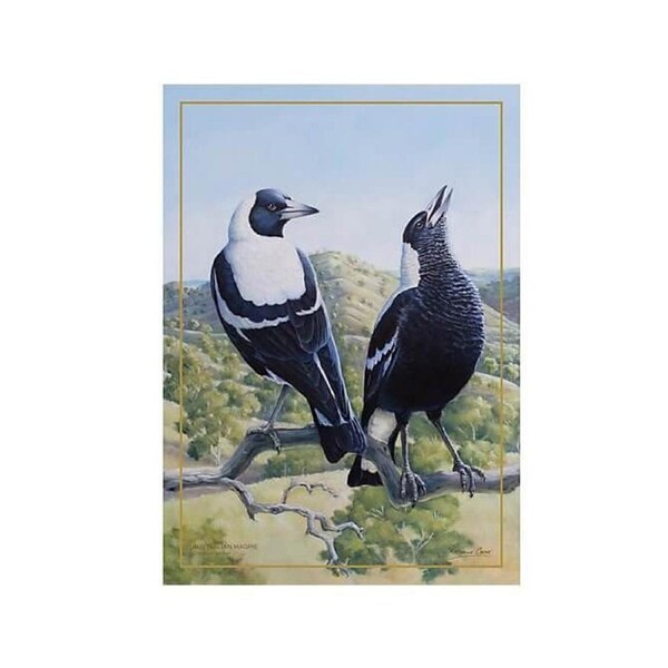 Maxwell & Williams 50x70 cm Birds of Australia 10YR Anniversary Tea Towel-Magpie