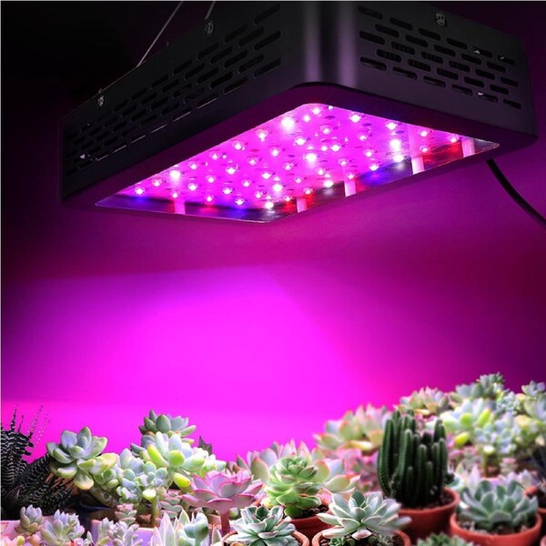 300W/600W/1000W/2000W Green Fingers LED Grow Light Indoor Veg Bloom Full Spectrum 1000W
