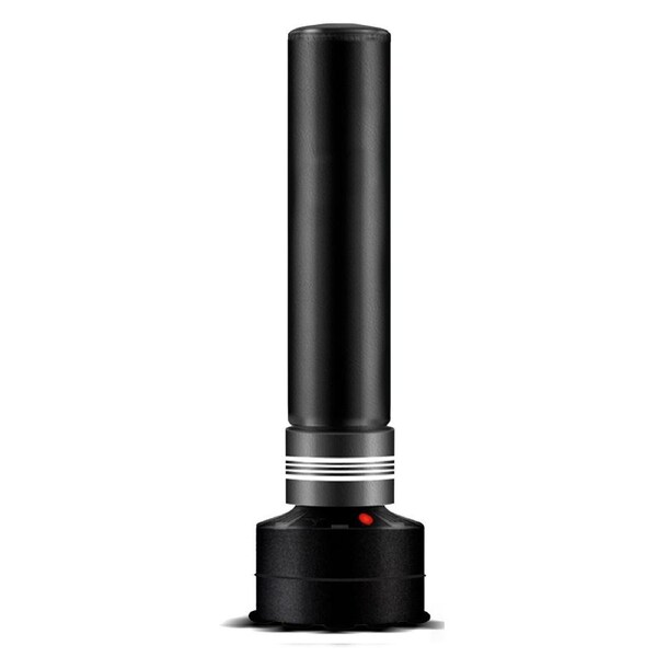 Standing Boxing Bag Punch Training for Adults Kids 170cm