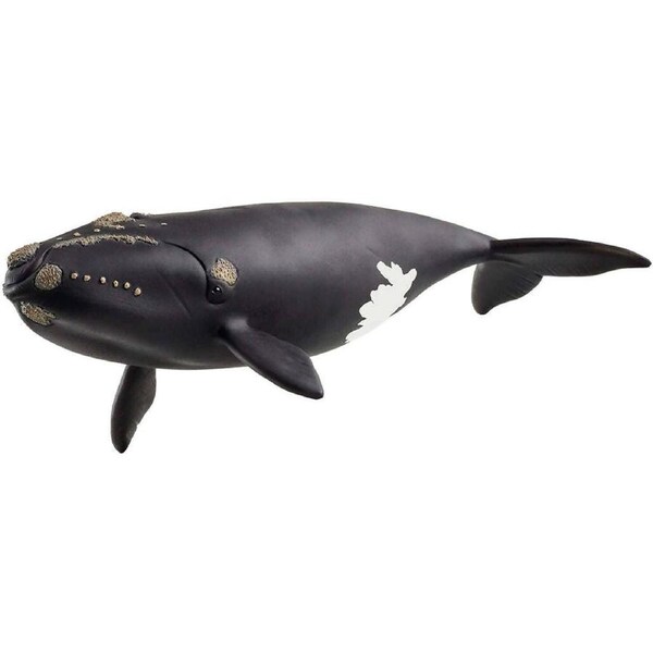 Schleich - North Atlantic Right Whale