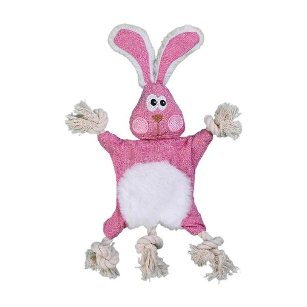 Squeaky Dog Toys,Plush Toy for Puppy Small Medium Dogs Activity Toy Prop