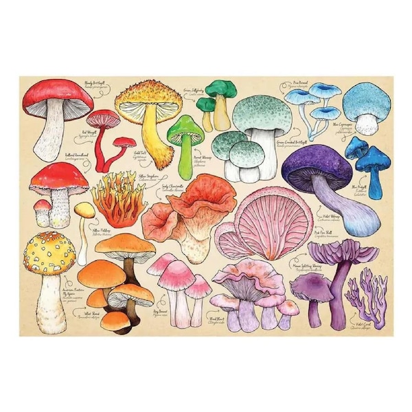House of Puzzles - Mushroom Mania Puzzle 1000pc