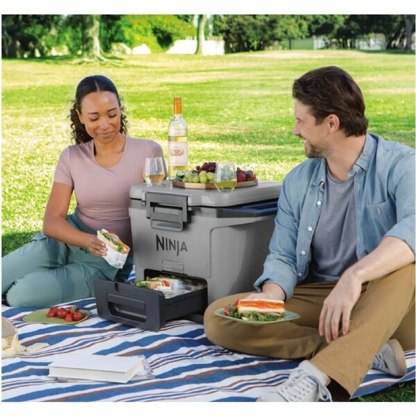 Ninja FrostVault 47L Hard Cooler with Dry Zone stale grey