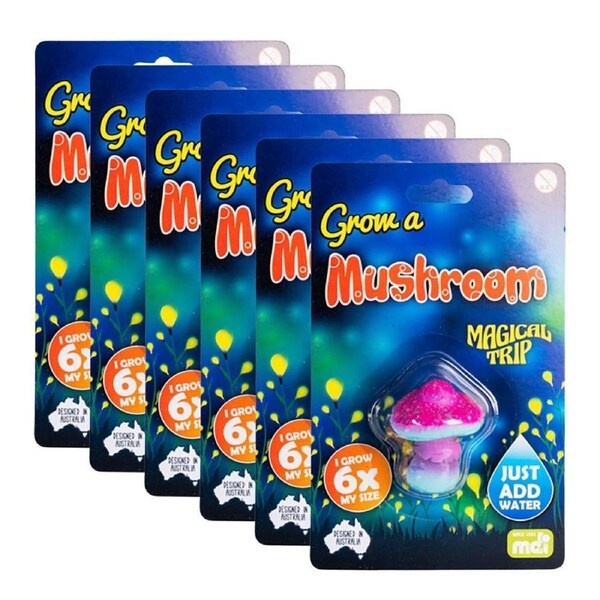 6PK MDI Grow a Mushroom Kids/Children Activity Play Interactive/Educational Toy