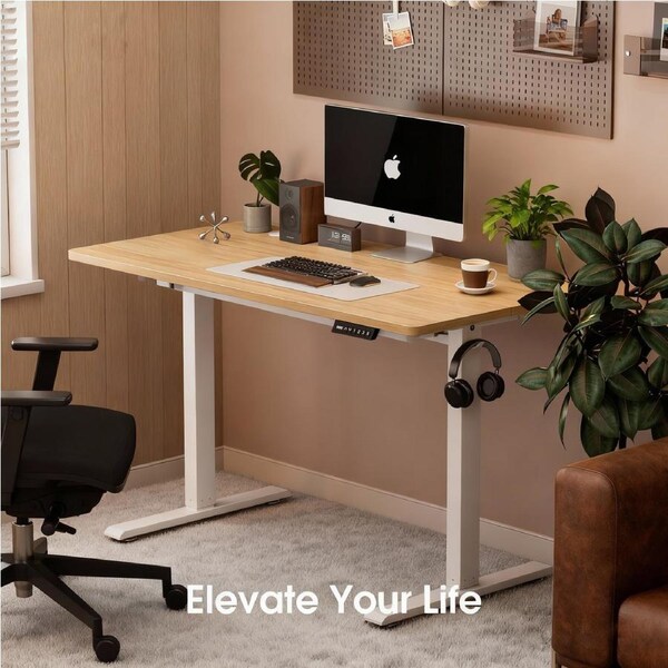 ApexSpace Electric Height Adjustable Standing Desk Ergonomic Sit Stand Up Lifting Table with Hooks Home Office Study Work Computer Desk 120*60CM Oak Colour+White