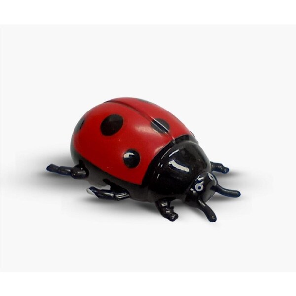 Ladybug Door Climber