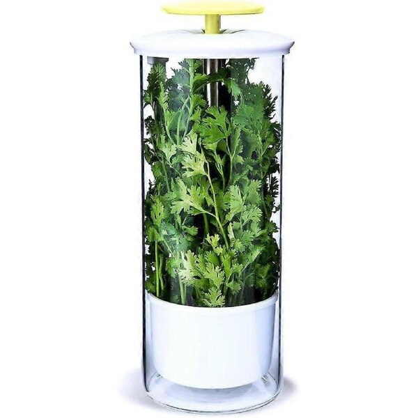 Herb Keeper and Herb Saver,Glass Storage Container for Cilantro, Mint, for 2-3 Weeks