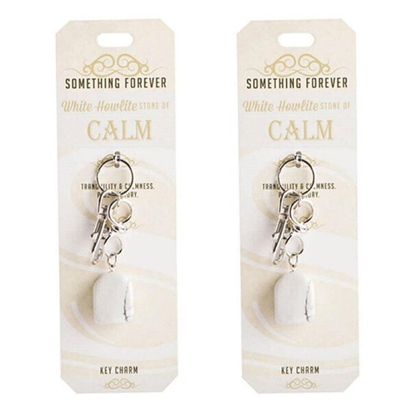 2PK Wishstone White Howlite Key Charm Keychain Keyring Women's Accessories