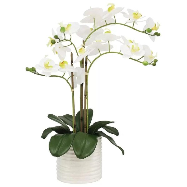 Artificial Orchid With Ribbed Pot 67cm