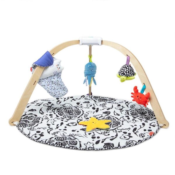 Ocean Oasis Easy Fold Play Gym