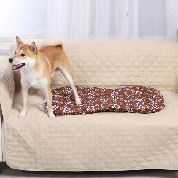 Charlie's Summer Pawtton Print Cooling Rectangular Dog Bed Brown Small