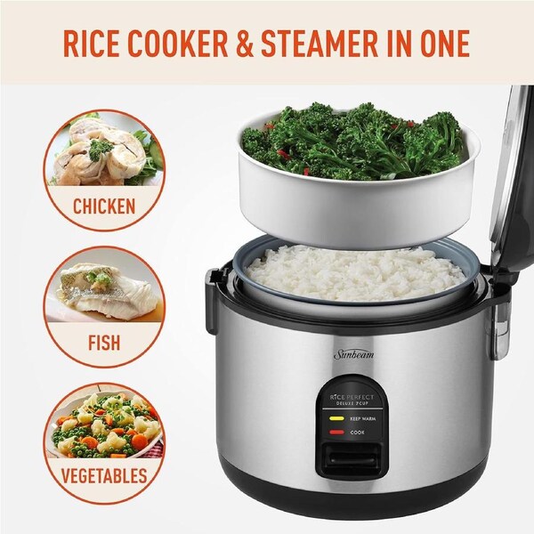 Best Rice Cooker and Steamer for Delicious Meals