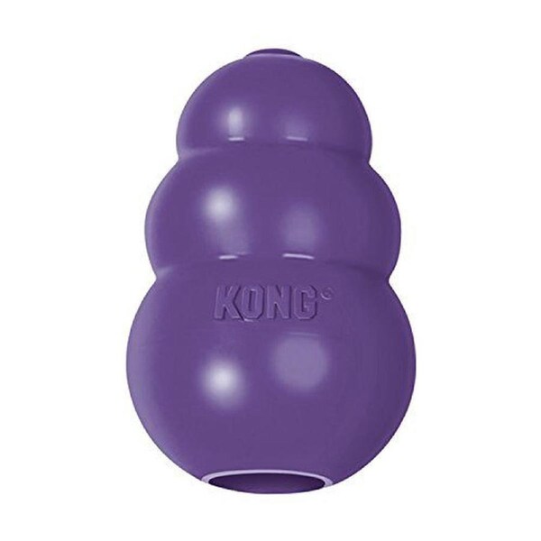 Senior Dog Toy, Medium, Purple