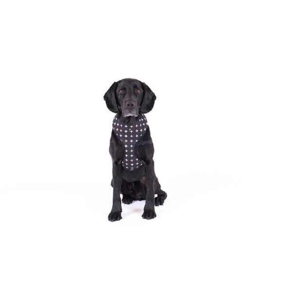 Neoprene Dog Harness (Black Cross) - XL