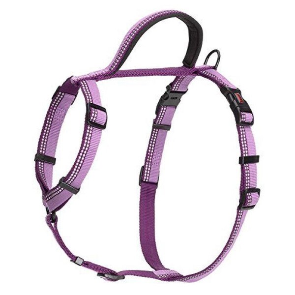 The Company of Animals HALTI Walking Harness, Purple, X-Small
