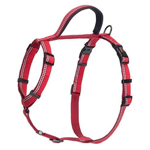 The Company of Animals HALTI Walking Harness, Red, Large