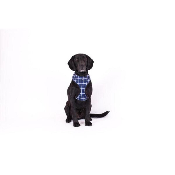 Neoprene Dog Harness (Navy Check) - XL