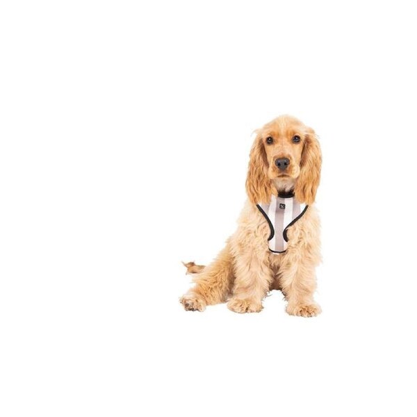 Neoprene Dog Harness (Latte Hampton Stripe) - Large