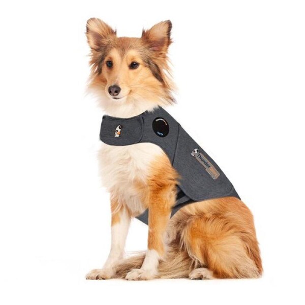 Anxiety Coat For Dogs - Small