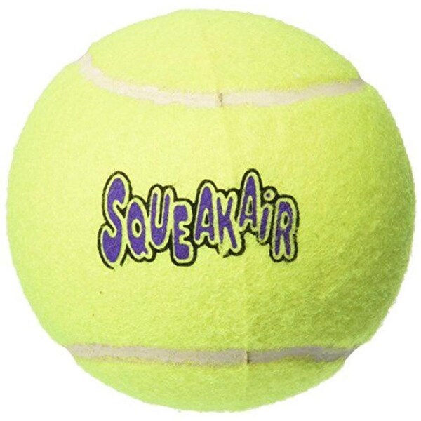 Air Dog Squeaker Ball, X-Large