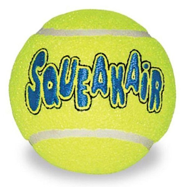 Airdog Squeaker Balls Medium