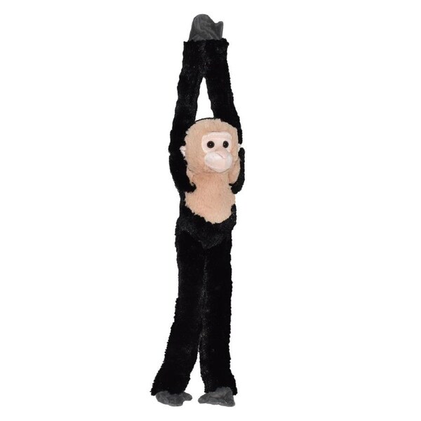 Hanging Capuchin Monkey - 20"