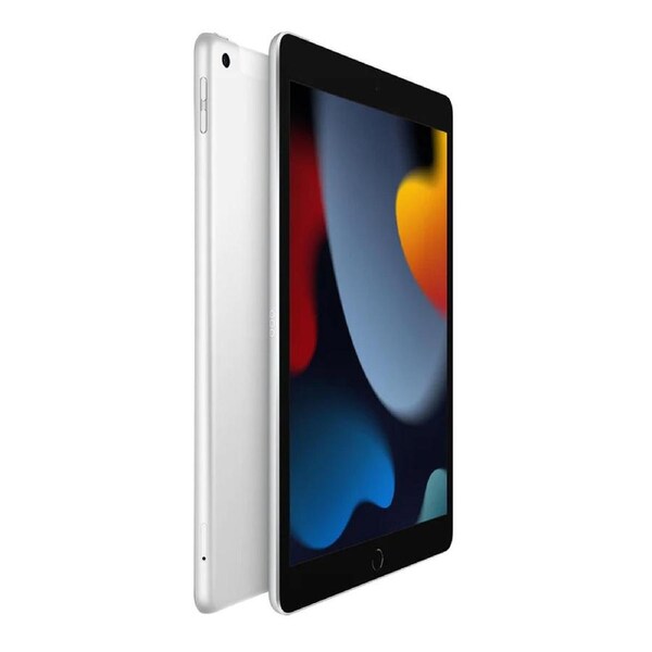 Apple iPad Wi-Fi + Cellular 256GB (9th Gen, 10.2-inch, MK4H3X/A) - Silver Grey